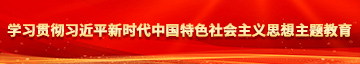 视频骚逼插插大学习贯彻习近平新时代中国特色社会主义思想主题教育